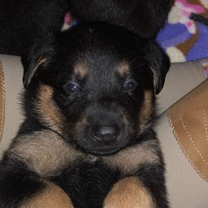 Meet your Posher, Jacob